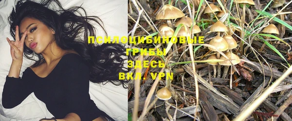 хмурый Карталы