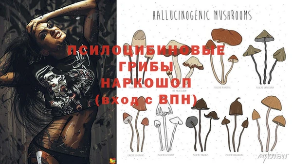 хмурый Карталы