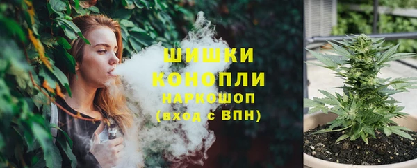 ГАЛЛЮЦИНОГЕННЫЕ ГРИБЫ Карпинск