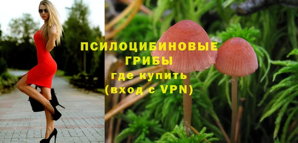 ГАЛЛЮЦИНОГЕННЫЕ ГРИБЫ Карпинск